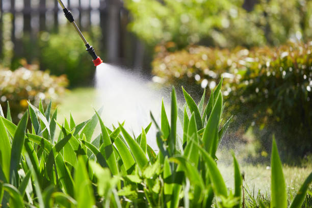 24/7 Emergency Termite Control experts in Moss Bluff, LA