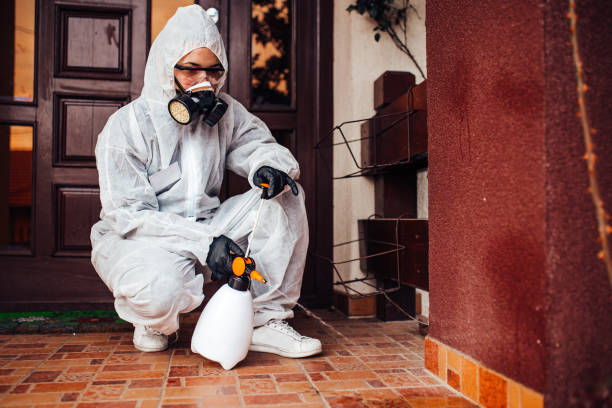 Reliable Termite Control contractor in Moss Bluff, LA by Nex Pest Control